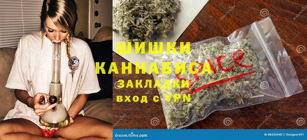 PSILOCYBIN Аркадак
