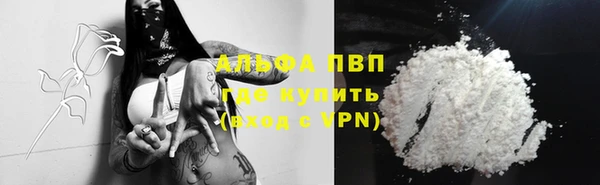 PSILOCYBIN Аркадак