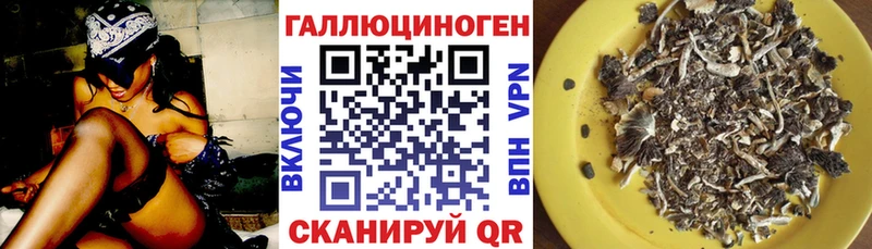 Галлюциногенные грибы Cubensis  где купить   Татарск 